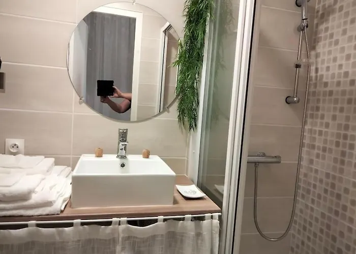 Le Saint Louis - Hypercentre - Opera - Proche Parcs Apartament *